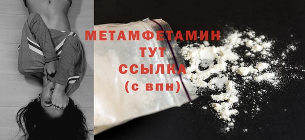 индика Нягань