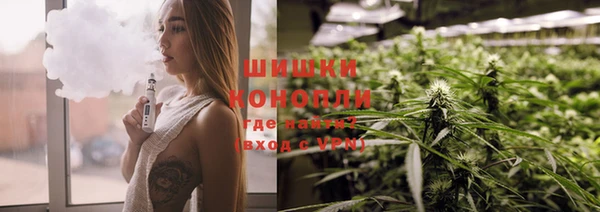 гашик Няндома