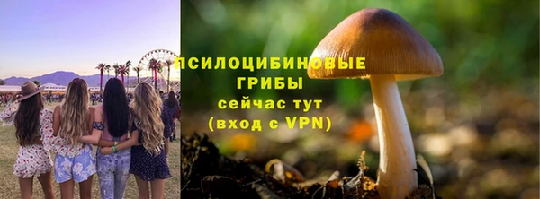 стаф Билибино