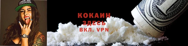 индика Нягань