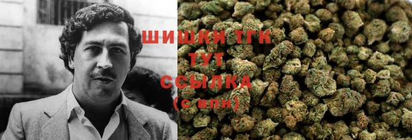 стаф Билибино