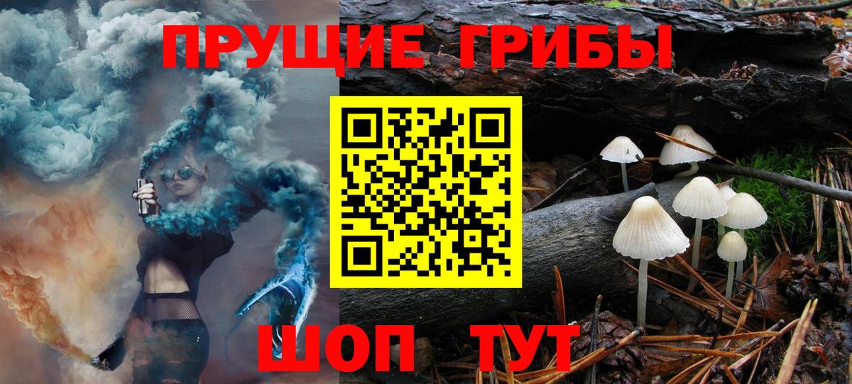 Галлюциногенные грибы мицелий Россошь