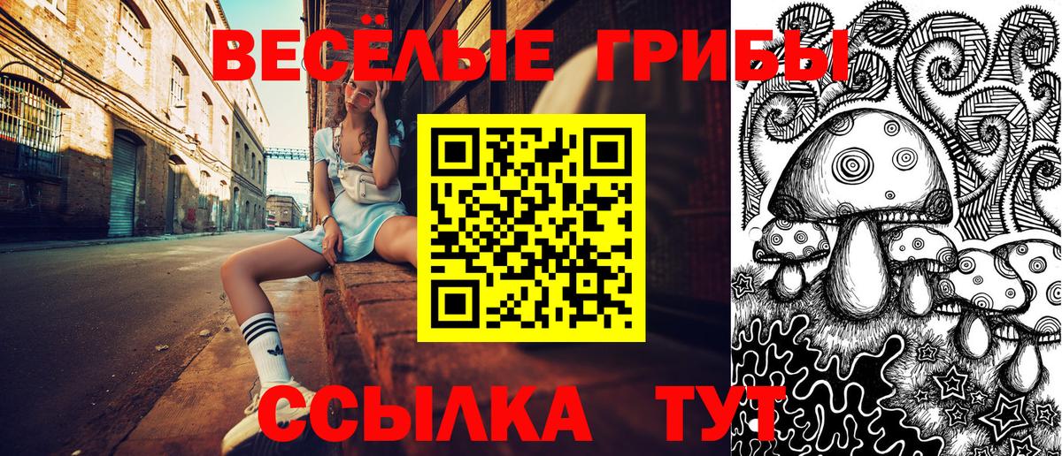 Галлюциногенные грибы MAGIC MUSHROOMS  Россошь  Псилоцибиновые грибы прущие грибы 