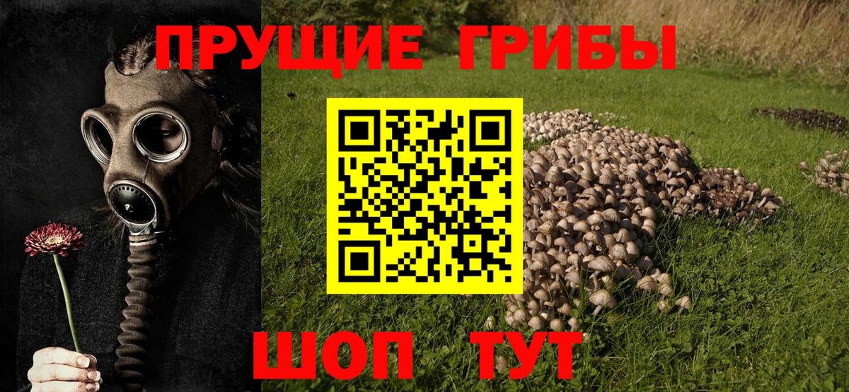 Галлюциногенные грибы мицелий Россошь