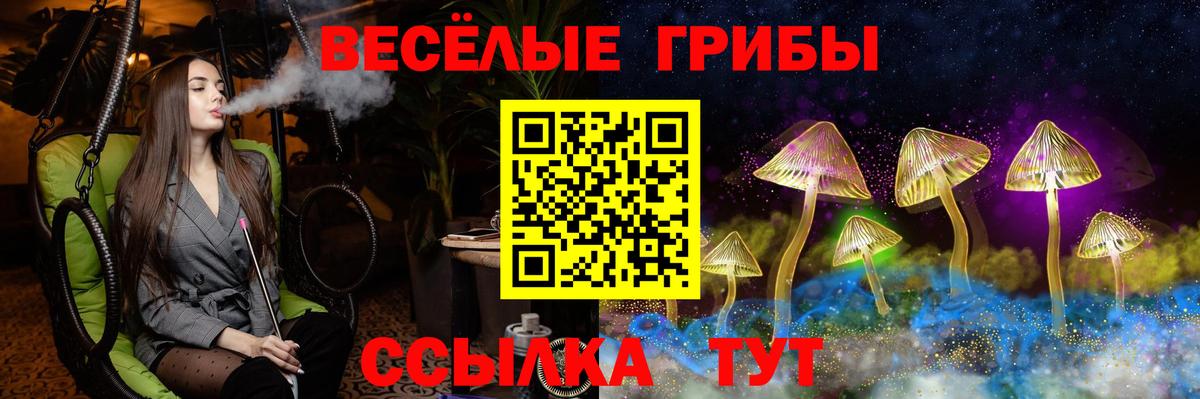 Россошь  Галлюциногенные грибы Magic Shrooms  Вход с VPN 